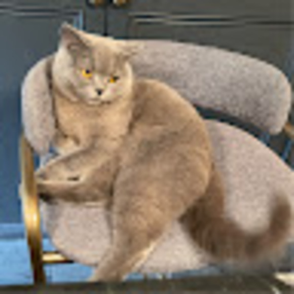 Meet your Posher, J - Picture 1 of 1